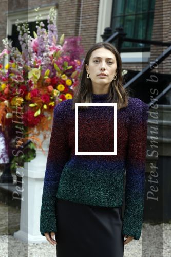 Amsterdam 18 mei 2023
Feest Netflix/ Vogue bij Huize Frankendael.
Chelsey Weimar met ...