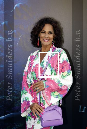Amsterdam 23 mei 2023
Premiere Little Mermaid in Tuschinski.
Chimene v Oosterhout