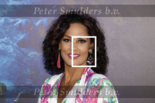 Amsterdam 23 mei 2023
Premiere Little Mermaid in Tuschinski.
Chimene v Oosterhout