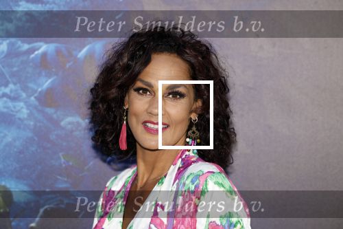Amsterdam 23 mei 2023
Premiere Little Mermaid in Tuschinski.
Chimene v Oosterhout