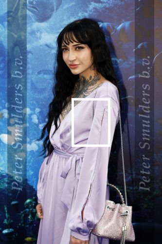 Amsterdam 23 mei 2023
Premiere Little Mermaid in Tuschinski.
Christina Curry met haar vriend