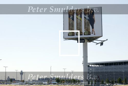 Schiphol 31 mei 2023
Abri Fajah Lourens bij schiphol.