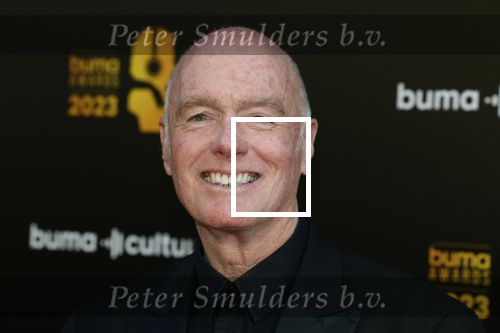 Amsterdam 22 mei 2023
Uitreiking Buma awards in Tuschinski Amsterdam.
Ferdi Bolland met zijn vrouw Marion