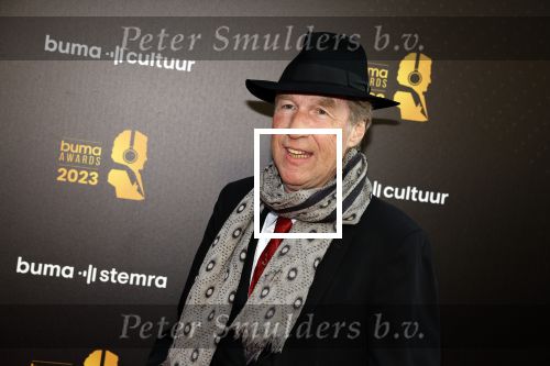 Amsterdam 22 mei 2023
Uitreiking Buma awards in Tuschinski Amsterdam.
Frank Boeijen