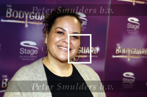 Amsterdam 21 februari 2023
Presentatie cast musical the Bodyguard . Oa Nurlaila Kareem en Tarikh Janssen spelen mee.

Jeannine La Rose
