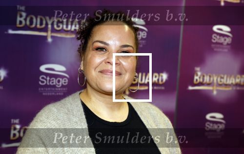 Amsterdam 21 februari 2023
Presentatie cast musical the Bodyguard . Oa Nurlaila Kareem en Tarikh Janssen spelen mee.

Jeannine La Rose