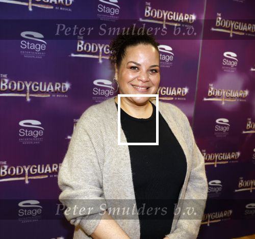 Amsterdam 21 februari 2023
Presentatie cast musical the Bodyguard . Oa Nurlaila Kareem en Tarikh Janssen spelen mee.

Jeannine La Rose
