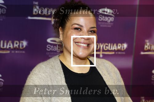 Amsterdam 21 februari 2023
Presentatie cast musical the Bodyguard . Oa Nurlaila Kareem en Tarikh Janssen spelen mee.

Jeannine La Rose