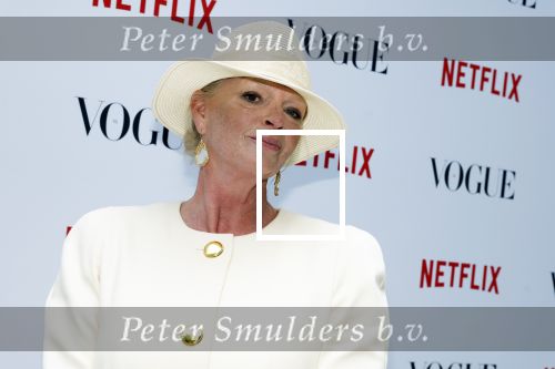 Amsterdam 18 mei 2023
Presentatie netflix serie  Queen CHarlotte met oa aanwezig India Amarteifio en Corey Mylchreest .
Serie is samenwerking met Vogue. Het feest is bij Huize Frankendaal. Karin Swerink