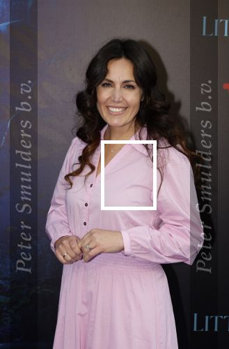 Amsterdam 23 mei 2023
Premiere Little Mermaid in Tuschinski.
Kirsten Schilder met moeder