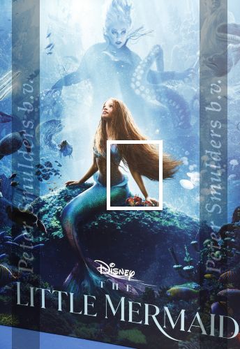 Amsterdam 23 mei 2023
Premiere Little Mermaid in Tuschinski.
