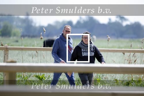 Alkmaar eo 17 mei 2023
Marco Borsato krijgt uitleg over dressuur van een instructeur op een manege