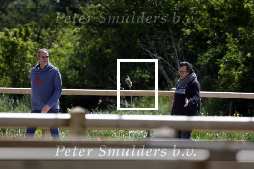 Alkmaar eo 17 mei 2023
Marco Borsato krijgt uitleg over dressuur van een instructeur op een manege
