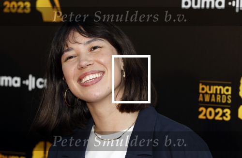 Amsterdam 22 mei 2023
Uitreiking Buma awards in Tuschinski Amsterdam.
Meau Hewitt met haar partner Jesper de Jonge