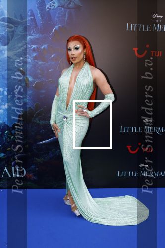 Amsterdam 23 mei 2023
Premiere Little Mermaid in Tuschinski.
Miss Envy Peru met partner