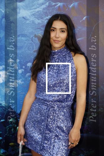 Amsterdam 23 mei 2023
Premiere Little Mermaid in Tuschinski.
Moise Trustfull