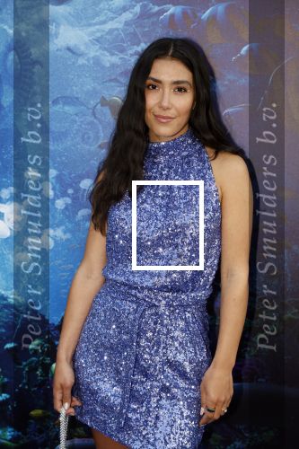 Amsterdam 23 mei 2023
Premiere Little Mermaid in Tuschinski.
Moise Trustfull