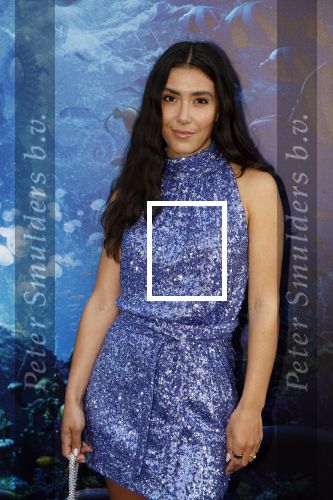 Amsterdam 23 mei 2023
Premiere Little Mermaid in Tuschinski.
Moise Trustfull