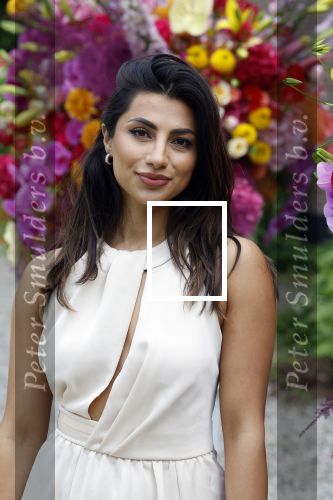 Amsterdam 18 mei 2023
Presentatie netflix serie  Queen CHarlotte met oa aanwezig India Amarteifio en Corey Mylchreest .
Serie is samenwerking met Vogue. Het feest is bij Huize Frankendaal.
Nargis Hamdard