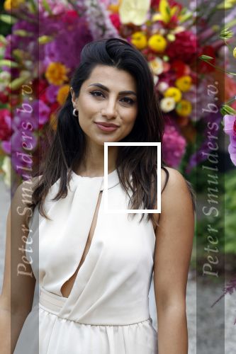 Amsterdam 18 mei 2023
Presentatie netflix serie  Queen CHarlotte met oa aanwezig India Amarteifio en Corey Mylchreest .
Serie is samenwerking met Vogue. Het feest is bij Huize Frankendaal.
Nargis Hamdard