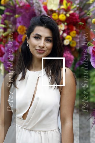 Amsterdam 18 mei 2023
Presentatie netflix serie  Queen CHarlotte met oa aanwezig India Amarteifio en Corey Mylchreest .
Serie is samenwerking met Vogue. Het feest is bij Huize Frankendaal.
Nargis Hamdard