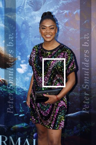 Amsterdam 23 mei 2023
Premiere Little Mermaid in Tuschinski.
Natacha Harlequin