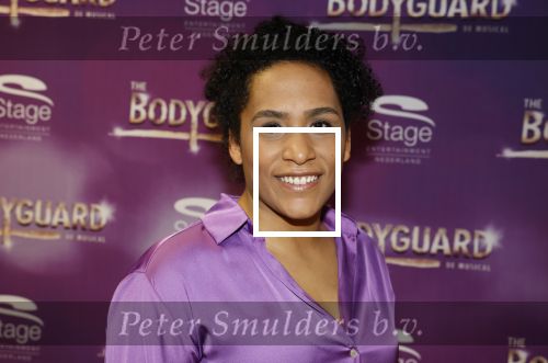 Amsterdam 21 februari 2023
Presentatie cast musical the Bodyguard . Oa Nurlaila Kareem en Tarikh Janssen spelen mee.

Noah Blindenburg