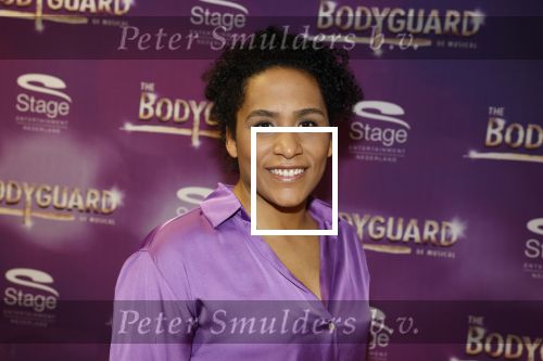 Amsterdam 21 februari 2023
Presentatie cast musical the Bodyguard . Oa Nurlaila Kareem en Tarikh Janssen spelen mee.

Noah Blindenburg