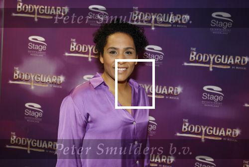 Amsterdam 21 februari 2023
Presentatie cast musical the Bodyguard . Oa Nurlaila Kareem en Tarikh Janssen spelen mee.

Noah Blindenburg