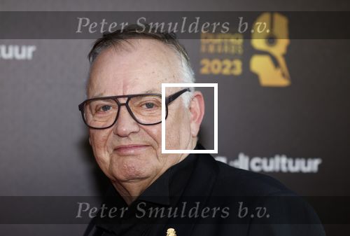 Amsterdam 22 mei 2023
Uitreiking Buma awards in Tuschinski Amsterdam.
Riny Schreijenberg met partner