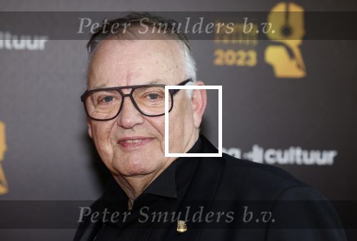 Amsterdam 22 mei 2023
Uitreiking Buma awards in Tuschinski Amsterdam.
Riny Schreijenberg met partner