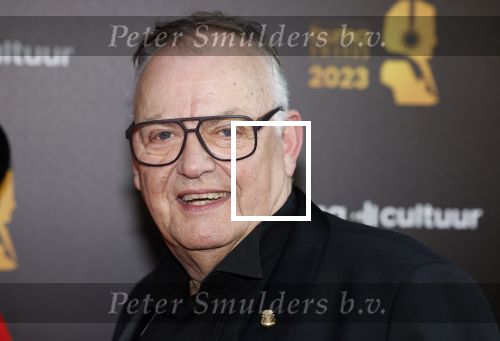 Amsterdam 22 mei 2023
Uitreiking Buma awards in Tuschinski Amsterdam.
Riny Schreijenberg met partner