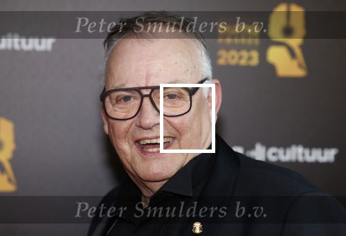 Amsterdam 22 mei 2023
Uitreiking Buma awards in Tuschinski Amsterdam.
Riny Schreijenberg met partner
