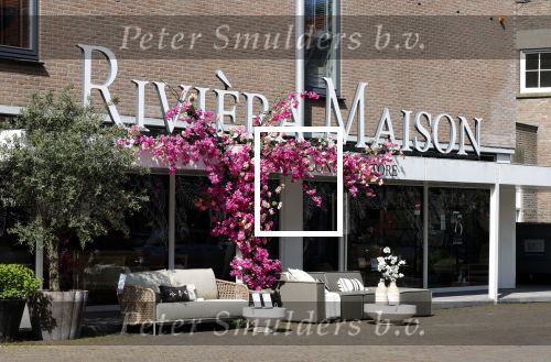 Laren 19 mei 2023
Riviera maison winkel in centrum Laren