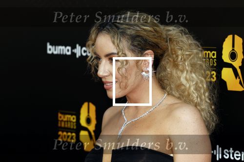 Amsterdam 22 mei 2023
Uitreiking Buma awards in Tuschinski Amsterdam.
Sigourney Korper