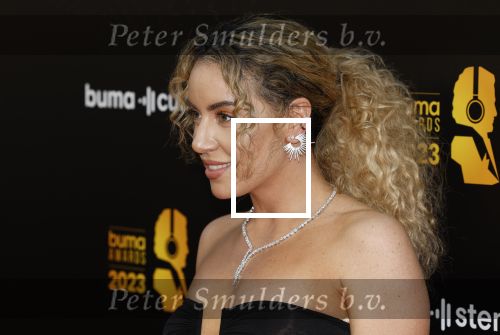 Amsterdam 22 mei 2023
Uitreiking Buma awards in Tuschinski Amsterdam.
Sigourney Korper