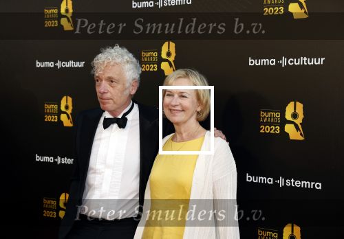 Amsterdam 22 mei 2023
Uitreiking Buma awards in Tuschinski Amsterdam.
Erik de Jong (Spinvis) met partner