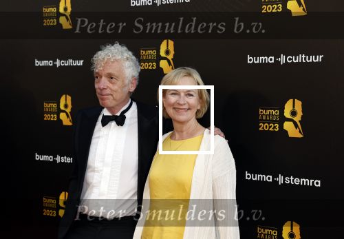 Amsterdam 22 mei 2023
Uitreiking Buma awards in Tuschinski Amsterdam.
Erik de Jong (Spinvis) met partner
