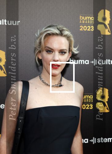 Amsterdam 22 mei 2023
Uitreiking Buma awards in Tuschinski Amsterdam.
Stacey Rookhuizen