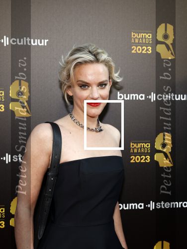 Amsterdam 22 mei 2023
Uitreiking Buma awards in Tuschinski Amsterdam.
Stacey Rookhuizen