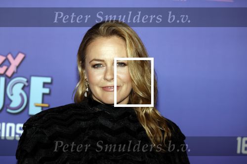 Amsterdam 13 mei 2024
Premiere Crazy House in Tuschinski. De cast met oa Alicia Silverstone Gaite Jansen Matti Stooker Chris Peters Victoria Koblenko Maarten Swart en Steffen Haars . Greg Shapiro presenteert de avond.