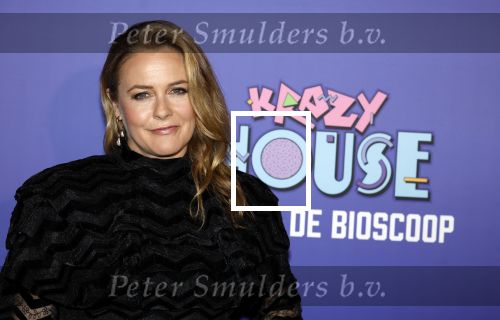 Amsterdam 13 mei 2024
Premiere Crazy House in Tuschinski. De cast met oa Alicia Silverstone Gaite Jansen Matti Stooker Chris Peters Victoria Koblenko Maarten Swart en Steffen Haars . Greg Shapiro presenteert de avond.