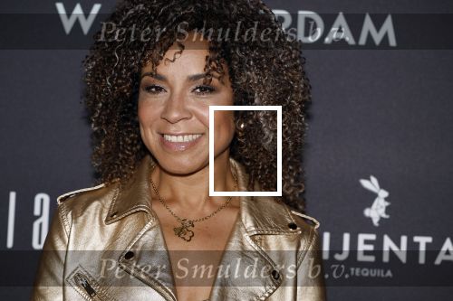 Amsterdan 23 mei 2024
Presentatie magazine Loiza Lamers in het W Hotel. Amara Onwuka