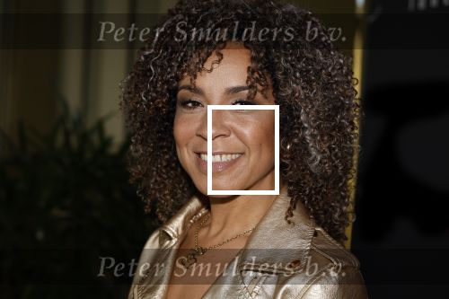 Amsterdan 23 mei 2024
Presentatie magazine Loiza Lamers in het W Hotel. Amara Onwuka