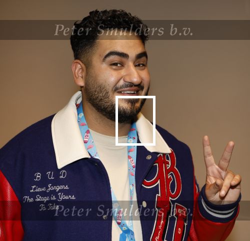 Amsterdam 25 mei 2024
Feestje na concert van de Toppers in de Johan Cruijff Arena. Ammar Bozoglu