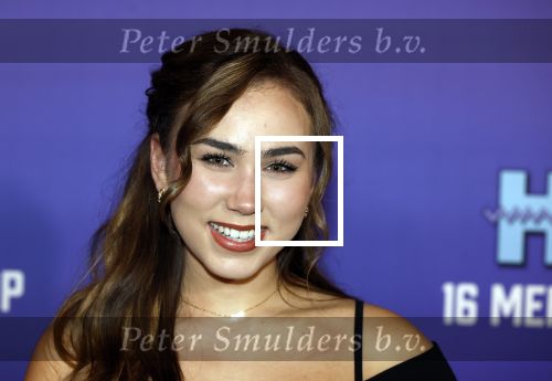 Amsterdam 13 mei 2024
Premiere Crazy House in Tuschinski. De cast met oa Alicia Silverstone Gaite Jansen Matti Stooker Chris Peters Victoria Koblenko Maarten Swart en Steffen Haars . Greg Shapiro presenteert de avond. Anique Dreamon