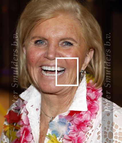 Amsterdam 25 mei 2024
Feestje na concert van de Toppers in de Johan Cruijff Arena. Annemarie Bartels