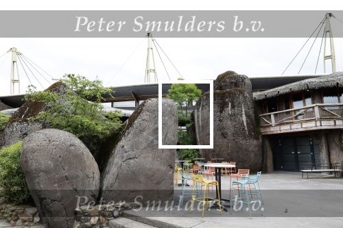Arnhem 27 mei 2024
Trouwen Robbert de Nijs en zijn vrouw Sharon in Burgers Zoo. Zijn vader Rob de Nijs en moeder Belinda Meuldijk waren de getuigen .