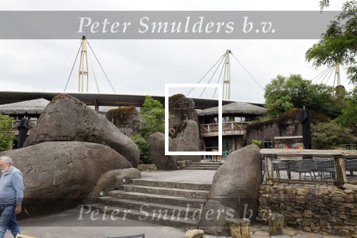 Arnhem 27 mei 2024
Trouwen Robbert de Nijs en zijn vrouw Sharon in Burgers Zoo. Zijn vader Rob de Nijs en moeder Belinda Meuldijk waren de getuigen .