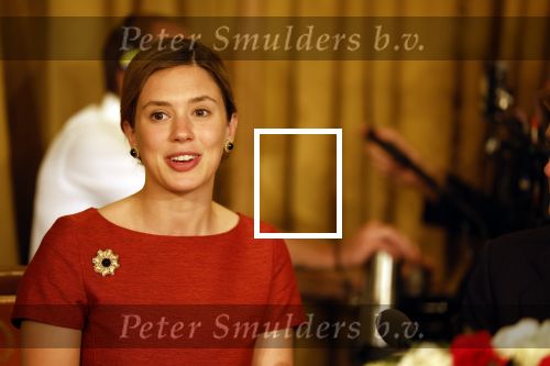 Soestdijk 13 september 2023
Opnames videoland serie Maxima op paleis Soestijk.
Martijn Lakemeier (Willem Alexander) Delfina Chaves (Maxima) Elsie de Brauw ( Beatrix)  Sebastian Koch en Jacob Derwig zijn aanwezig.